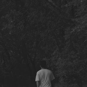 沈娜娜mv最新集在线观看
