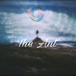 沈娜娜mv最新集在线观看
