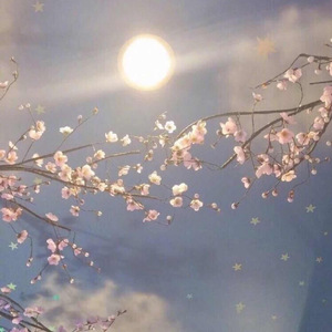 沈娜娜mv最新集在线观看
