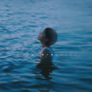 沈娜娜mv最新集在线观看
