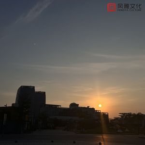 沈娜娜mv最新集在线观看
